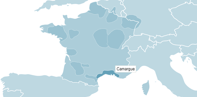 Karta &ouml;ver Camargue